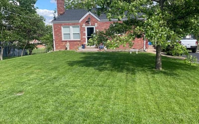Photo of Kathy S.'s yard after getting lawn care in Cahokia, IL