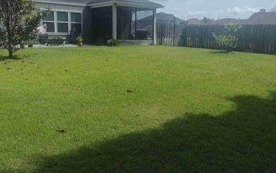 Photo of Leonard D.'s yard after getting lawn care in Yulee, FL