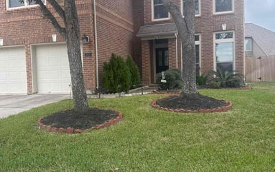 Photo of Malcolm J.'s yard after getting lawn care in Pearland, TX
