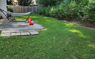 Photo of Colleen B.'s yard after getting lawn care in Dacula, GA