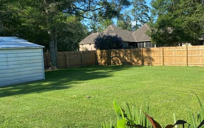 Photo of Dante B.'s yard after getting lawn care in Alexandria, LA