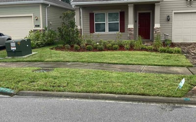 Photo of Paul G.'s yard after getting lawn care in Calexico, CA