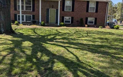 Photo of Michael C.'s yard after getting lawn care in Kingston Springs, TN