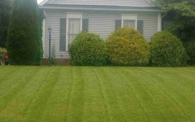 Photo of Katherine E.'s yard after getting lawn care in Spartanburg, SC