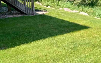 Photo of Erik M.'s yard after getting tree care in Elk River, MN