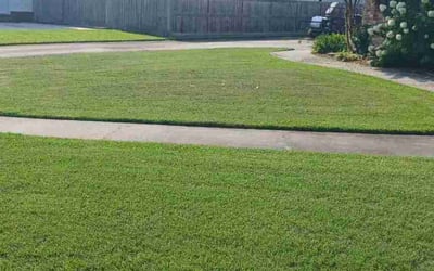 Photo of Terrance S.'s yard after getting lawn care in Moncks Corner, SC