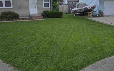 Photo of Olga K.'s yard after getting lawn care in Iowa City, IA