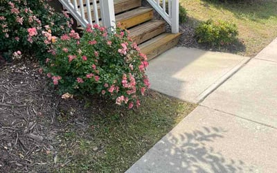 Photo of Mary A.'s yard after getting lawn care in Fairview Park, OH