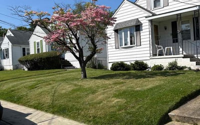 Photo of Chandra U.'s yard after getting lawn care in Arbutus, MD
