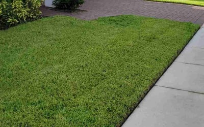 Photo of Benjamin O.'s yard after getting lawn care in Davenport, FL