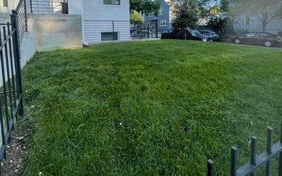 Photo of Kenneth S.'s yard after getting tree care in Smithfield, NC