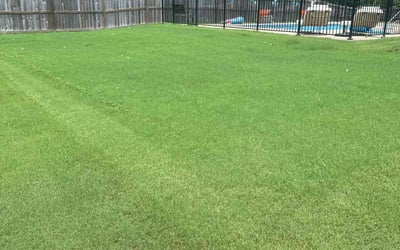 Photo of Cherie D.'s yard after getting lawn care in Maumelle, AR