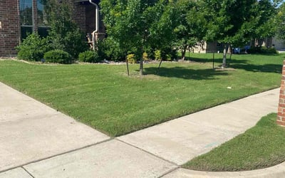 Photo of Jessie B.'s yard after getting lawn care in Weatherford, TX