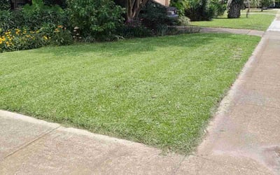 Photo of Vianca G.'s yard after getting lawn care in East Point, GA