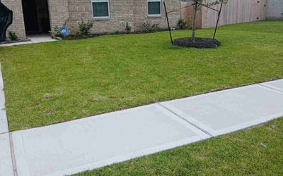 Photo of Lana S.'s yard after getting lawn care in Clearwater, FL