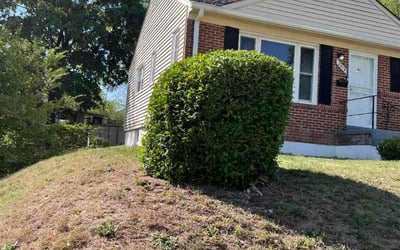 Photo of Aminata M.'s yard after getting lawn care in Fort Lauderdale, FL