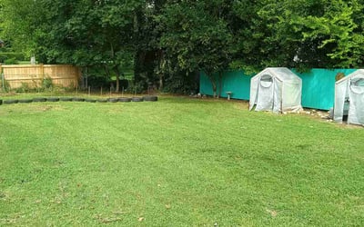 Photo of Cynthia H.'s yard after getting lawn care in Macon, GA