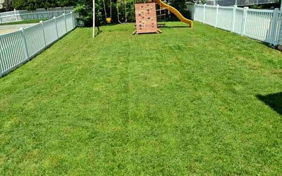 Photo of Ryan F.'s yard after getting lawn care in O&#039;Fallon, MO