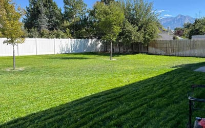 Photo of JENNA G.'s yard after getting lawn care in Riverton, UT