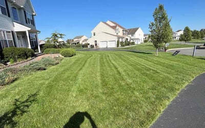 Photo of Savanna D.'s yard after getting lawn care in Douglassville, PA