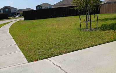 Photo of Hao L.'s yard after getting lawn care in Lexington, MA