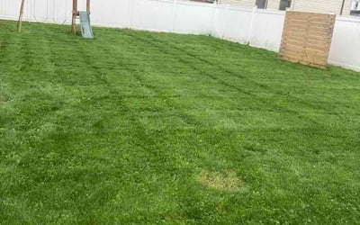 Photo of Trisha W.'s yard after getting lawn care in Cranston, RI