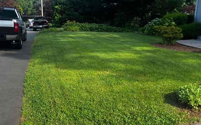 Photo of Rebecca T.'s yard after getting lawn care in Milford, CT