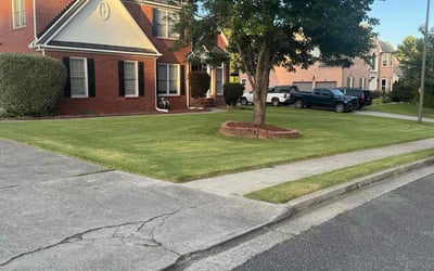 Photo of Konjul B.'s yard after getting lawn care in Upper Darby, PA