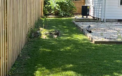 Photo of Leslie B.'s yard after getting lawn care in Stafford, VA