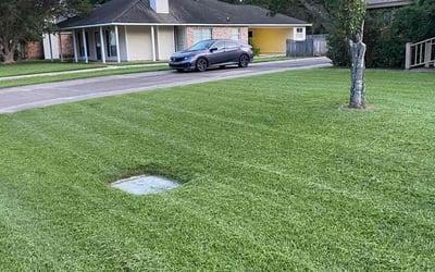 Photo of James B.'s yard after getting lawn care in West Monroe, LA