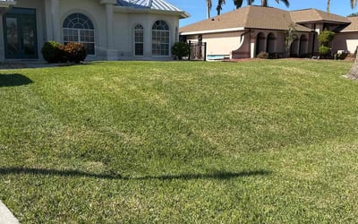 Photo of Adriana G.'s yard after getting lawn care in Cape Coral, FL