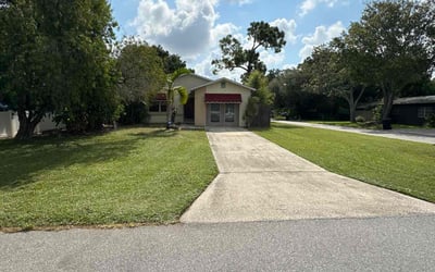 Photo of Mark K.'s yard after getting lawn care in Gulfport, FL