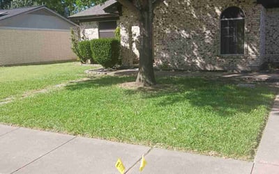 Photo of Albert G.'s yard after getting lawn care in Barstow, CA