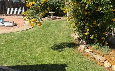 Photo of Susan A.'s yard after getting lawn care in Oakdale, CA