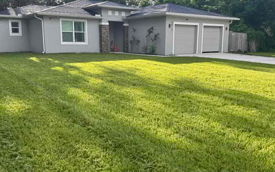 Photo of Mona H.'s yard after getting lawn care in Sanford, FL