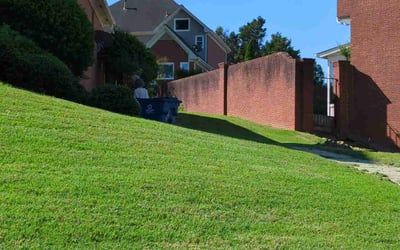 Photo of Jeffrey P.'s yard after getting lawn care in Zachary, LA