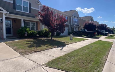 Photo of Ben M.'s yard after getting lawn care in Wells, ME