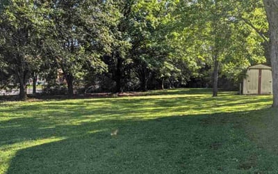 Photo of Glenn M.'s yard after getting lawn care in Plymouth, MI