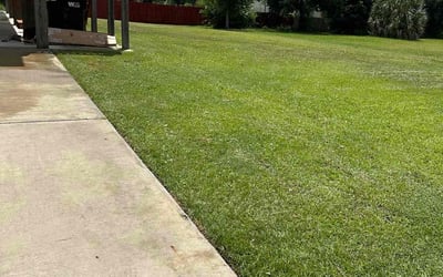 Photo of David W.'s yard after getting lawn care in Long Beach, MS