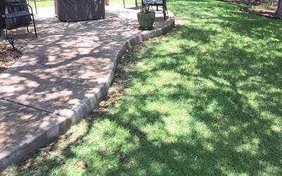 Photo of Ryan P.'s yard after getting lawn care in Dunedin, FL