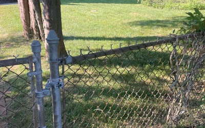 Photo of Frederick V.'s yard after getting lawn care in Northport, NY