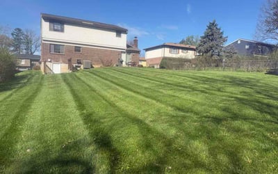 Photo of Brady A.'s yard after getting lawn care in Independence, KY