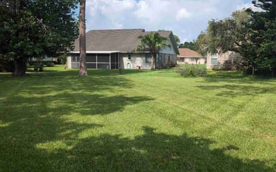 Photo of Michelle K.'s yard after getting lawn care in Ormond Beach, FL