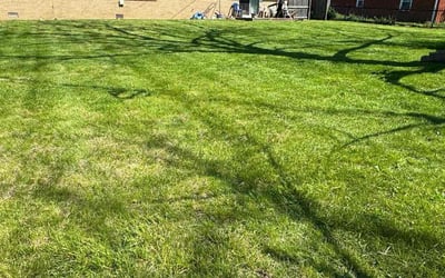Photo of Dane F.'s yard after getting lawn care in Saint Cloud, FL