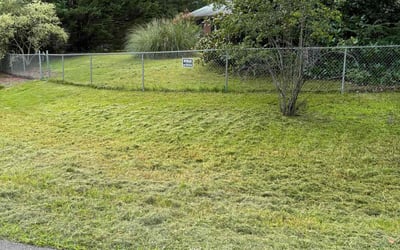 Photo of Eric F.'s yard after getting lawn care in Bellefonte, PA