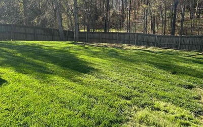 Photo of Carol N.'s yard after getting lawn care in Edison, NJ