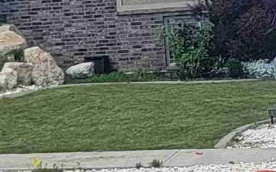 Photo of Justin B.'s yard after getting lawn care in Roy, UT