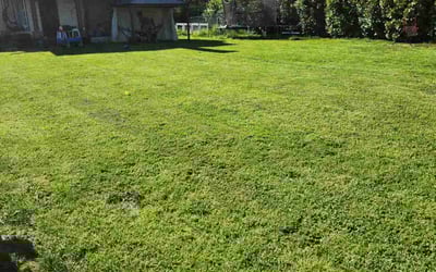 Photo of Leslie W.'s yard after getting lawn care in Newberg, OR