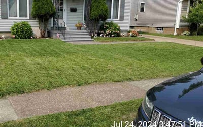 Photo of Richard R.'s yard after getting lawn care in Spring, TX