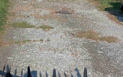 Photo of Alicia G.'s yard after getting lawn care in Gardendale, AL